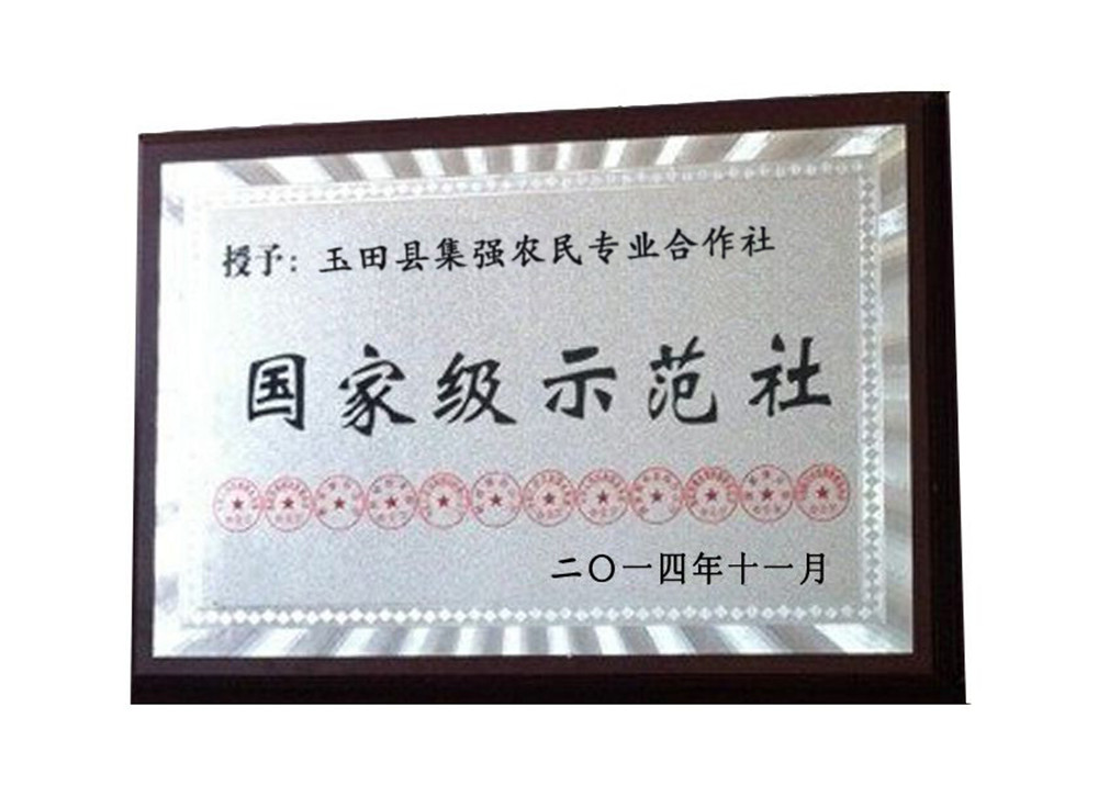 榮譽(yù)證書(shū)